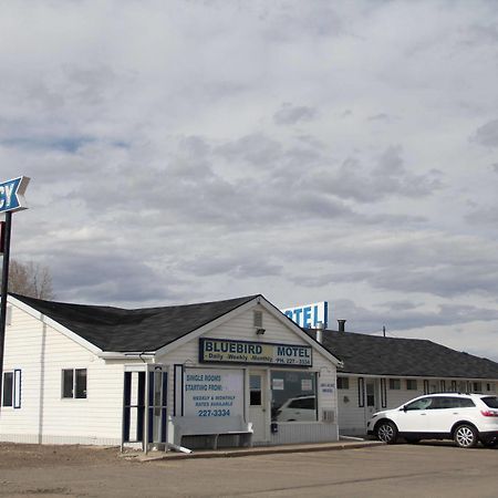Bluebird Motel Innisfail 외부 사진